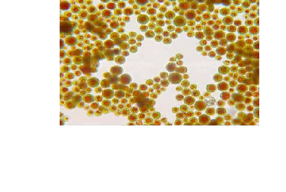 1665028450410953.png image.png