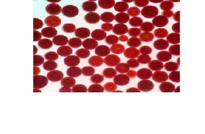 1665028488588803.png image.png