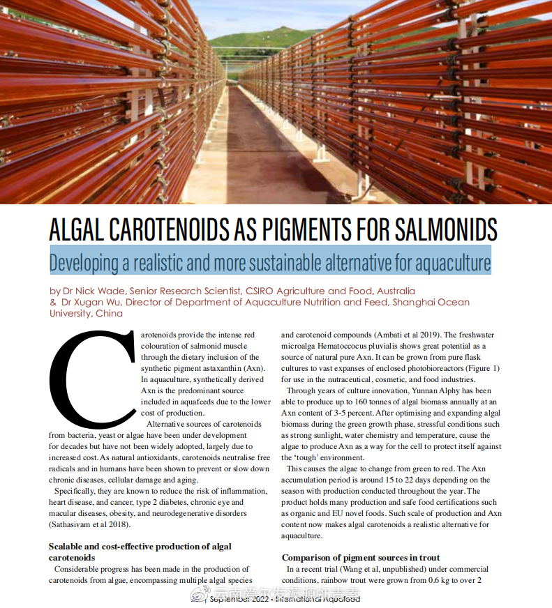 1666842188114447.png 007azO81ly4h7834txewsj30lz0o8k5l.png