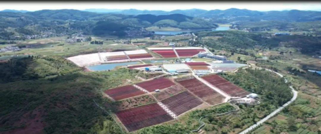 1666842240414611.jpg 007azO81ly4h7834wu322j30u00ckdhj.jpg