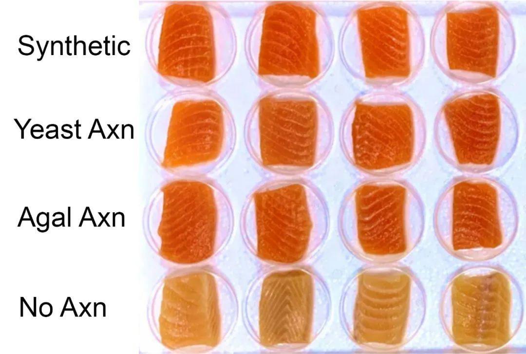 1666842259330828.jpg 007azO81ly4h7834yimocj30u00k7tap.jpg