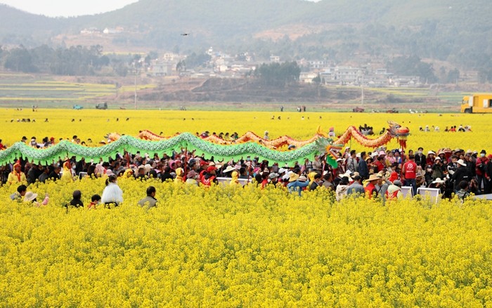 1676876940599604.jpg LC8A6973.JPG