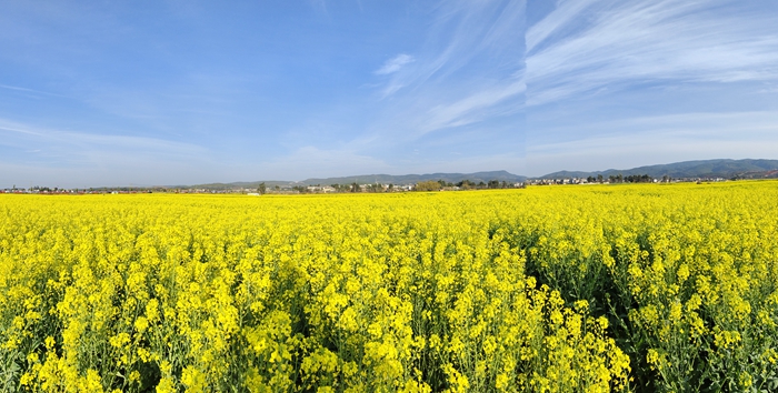 1676876967444690.jpg 微信图片_20230220111808_副本.jpg