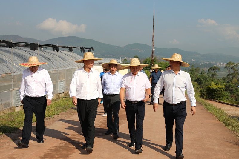 1724728896205821.jpg 1.jpg