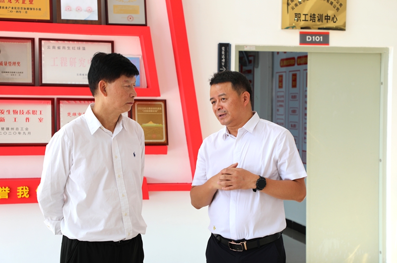 1724729082553302.jpg 6.jpg