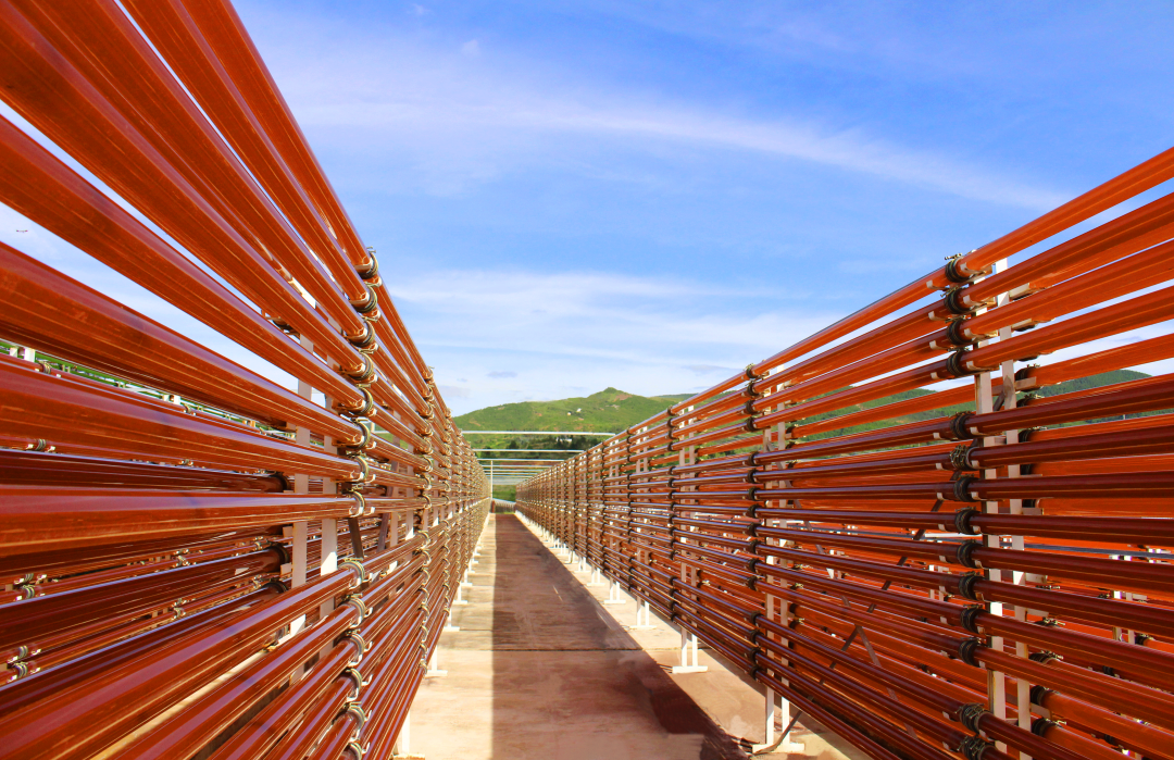 1724896031110221.png 爱尔发雨生红球藻养殖基地1_副本.png