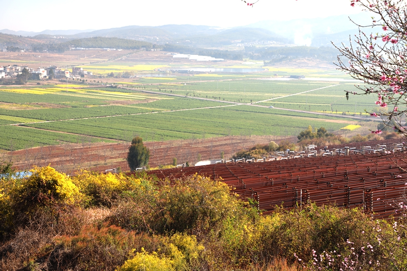 1725254567855816.png 图片1.png