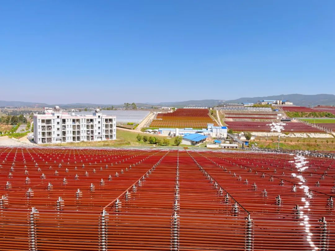 1725949759356604.png 图片1.png