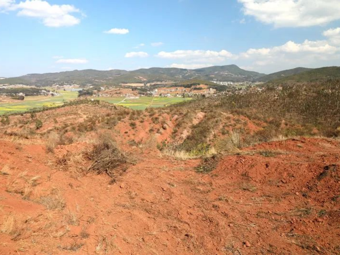 1725951035918986.png 图片2.png