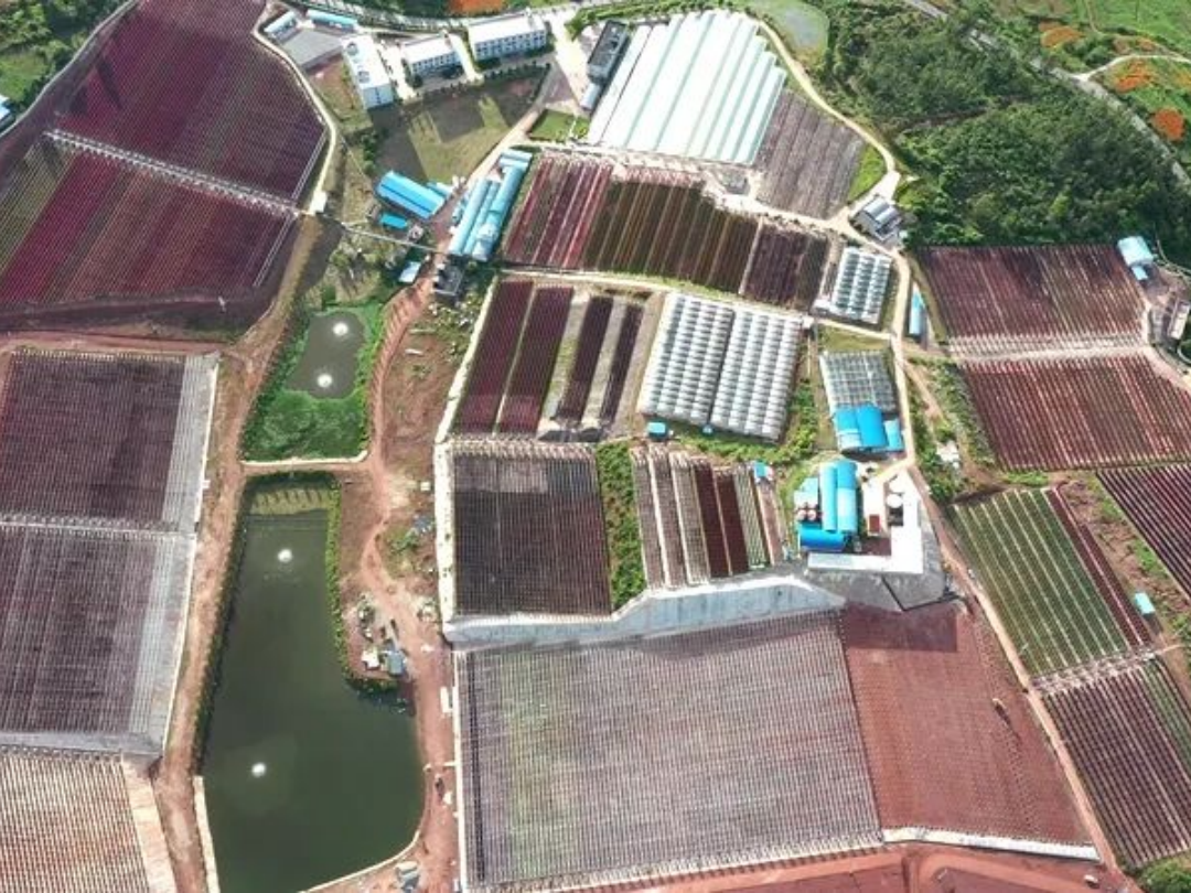 1725951054809858.png 图片3.png