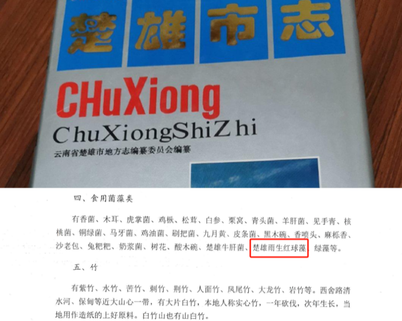 1727415063124288.png 3 93版《楚雄市志》记录楚雄雨生红球藻_副本.png