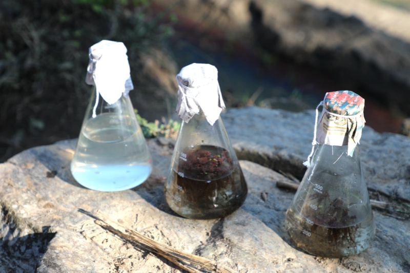 1727415116146738.jpg 4 楚雄雨生红球藻采样_副本.jpg