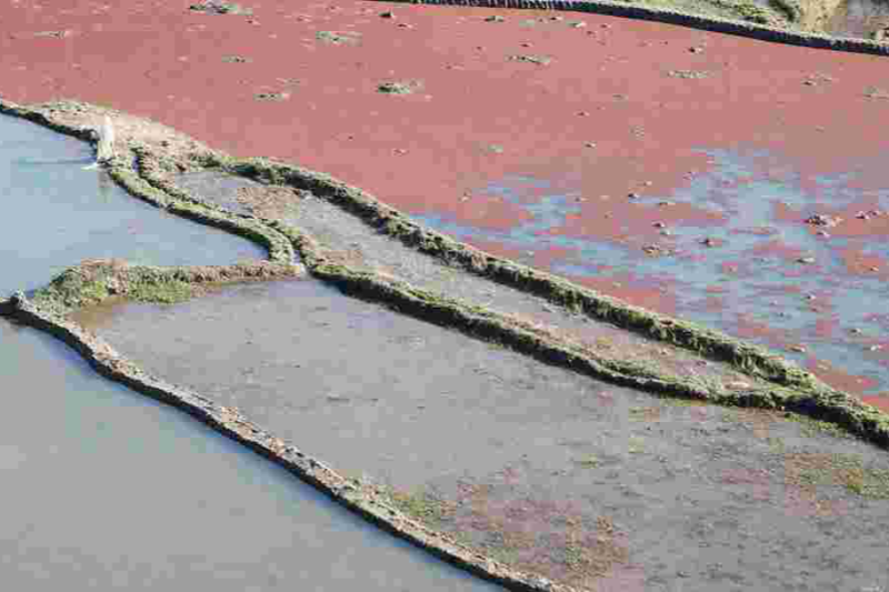 1728287389978284.png 5555.png