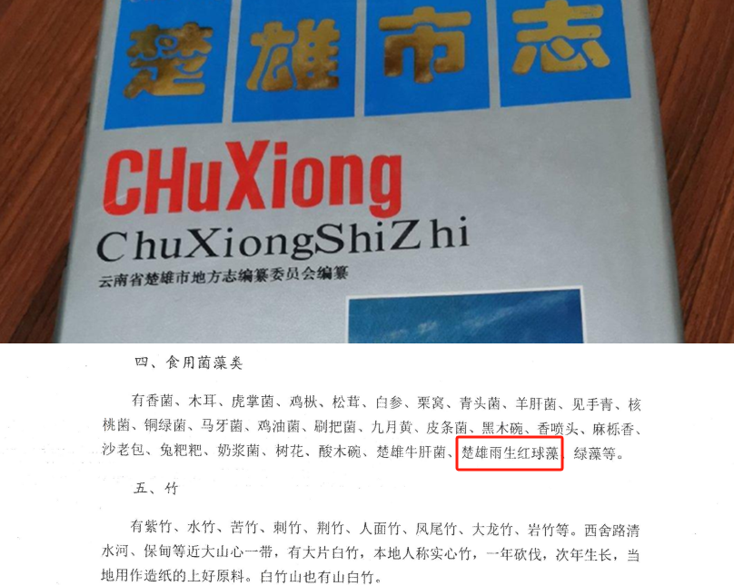 1728287413332807.png 3 (2).png