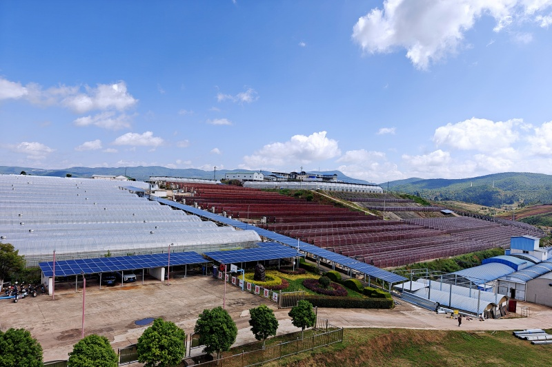 1729149880528086.png 图片1.png