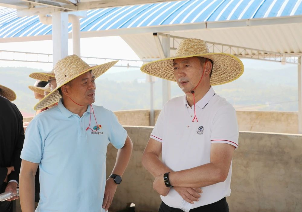 1729651268793506.png 00.png