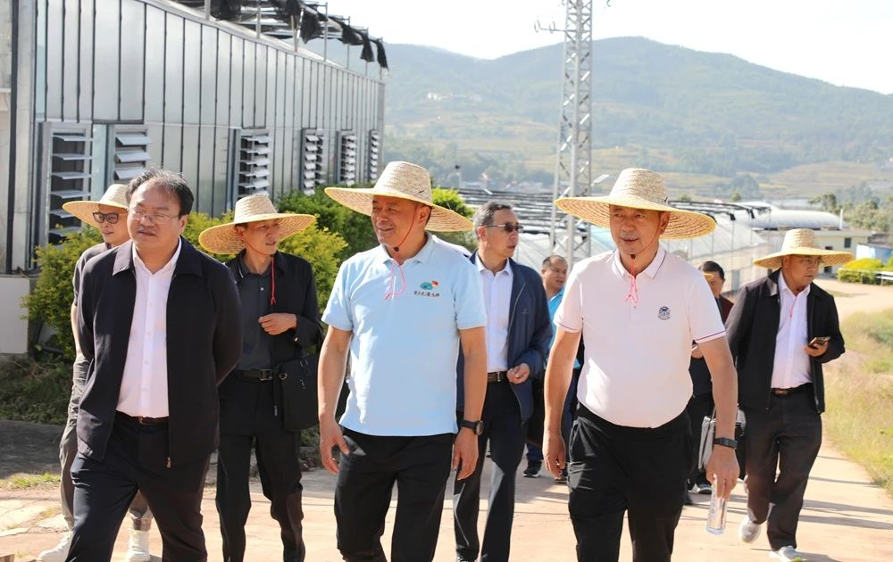 1729752497689369.png 01.png