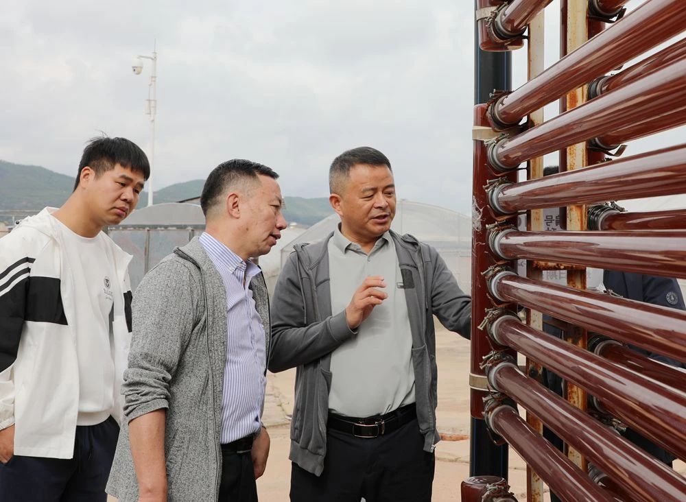 1730171704755293.jpg 02.jpg