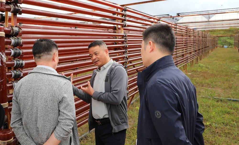 1730171736327385.jpg 03.jpg