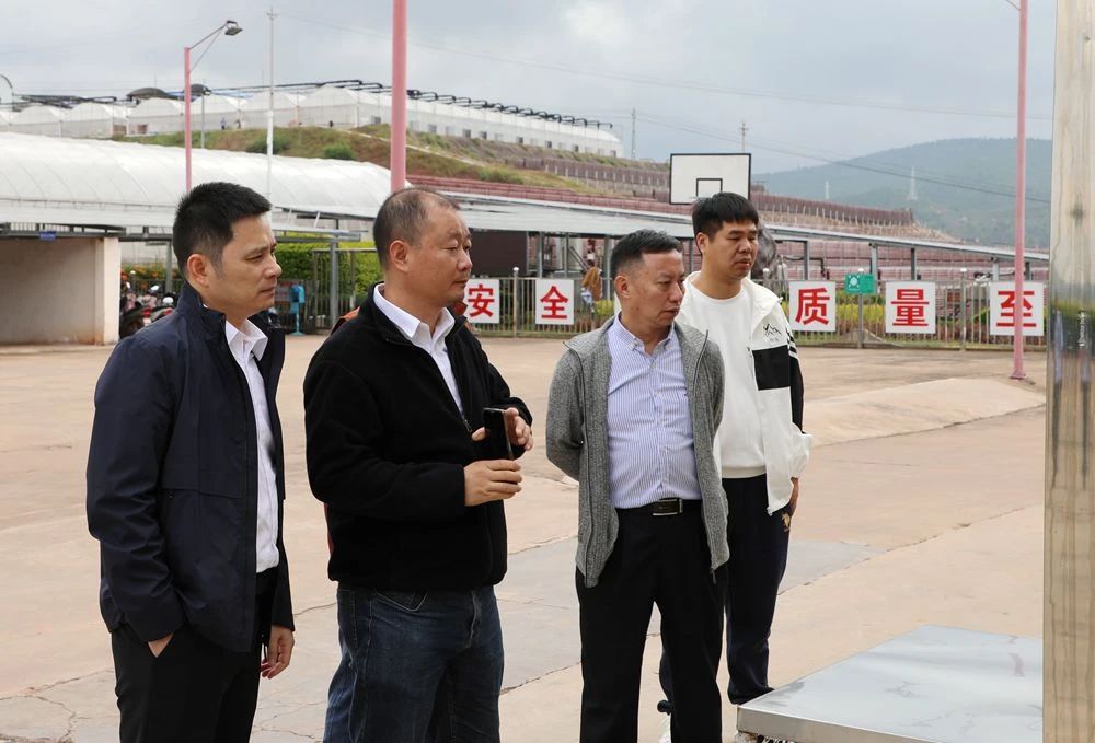 1730171761106370.jpg 04.jpg