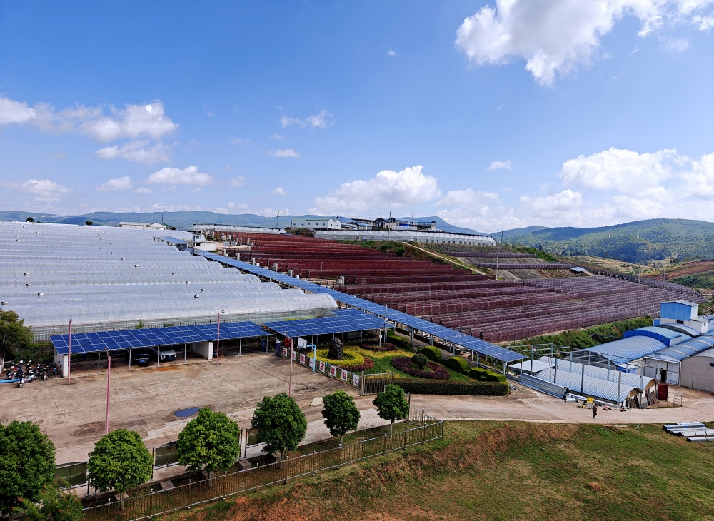 1730252831135313.jpg 888_副本.jpg