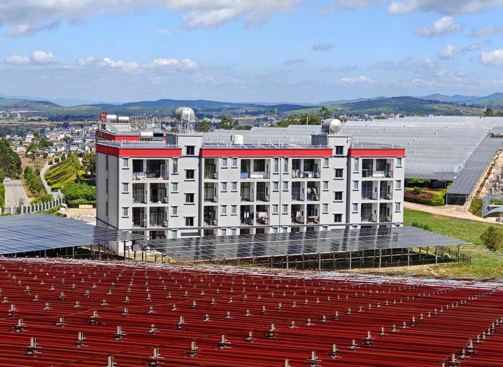 1730338670552829.jpg IMG20241025123051_副本.jpg