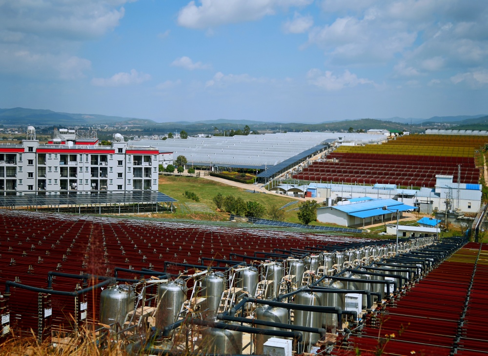 1730956247410308.jpg 0000.jpg