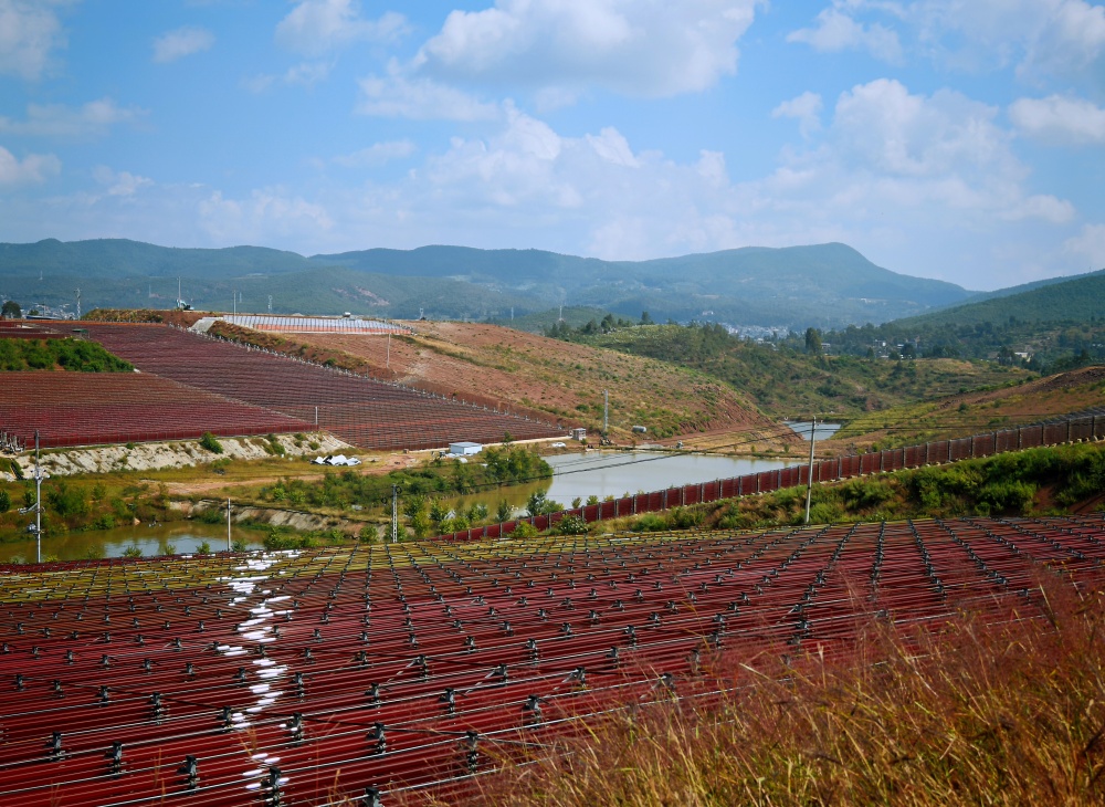 1730956563918298.jpg 0001.jpg