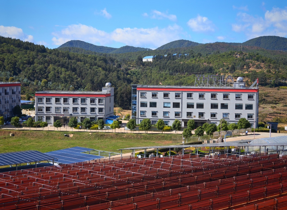 1731477746789202.jpg 88.jpg