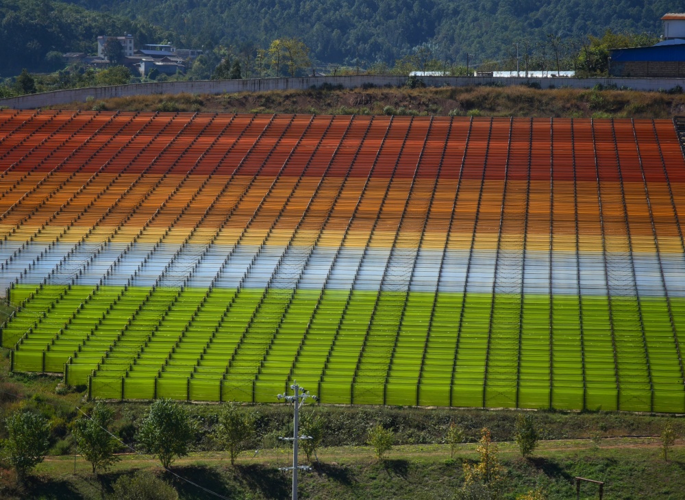 1731477761172428.jpg 99.jpg