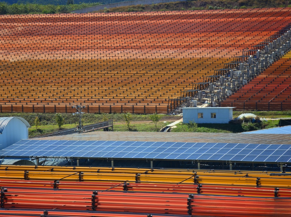 1735106965757832.jpg 03.jpg