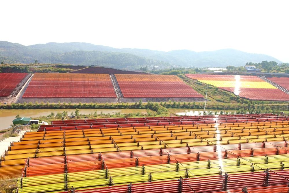 1735107287873545.jpg 12.jpg