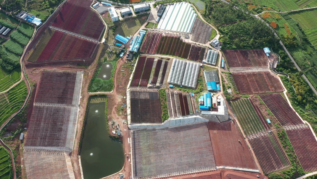 1735178807462849.jpg 航拍1_副本.jpg