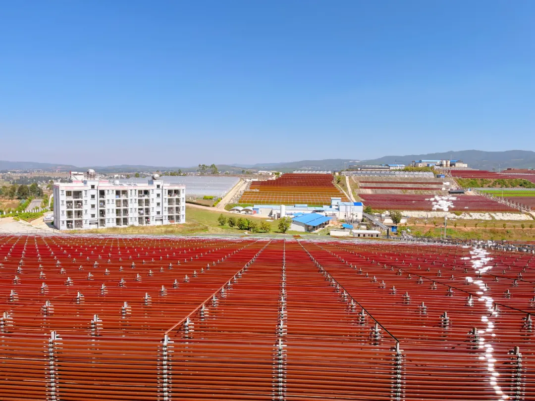 1735797745330053.png 蓝皮书3.png