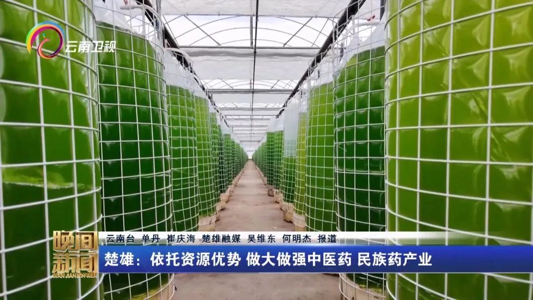 1747966729192352.jpg 523.jpg