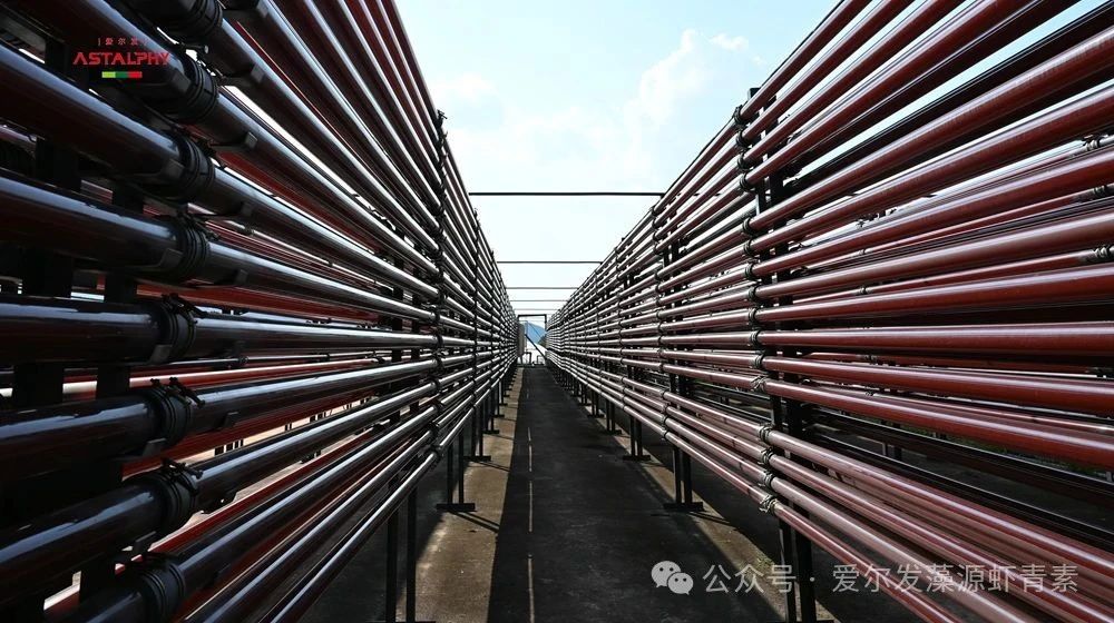 1752546495233103.jpg 7153.jpg