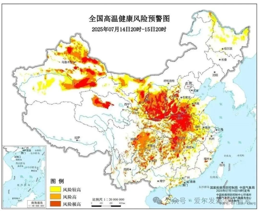 1752630303590912.jpg 7161.jpg