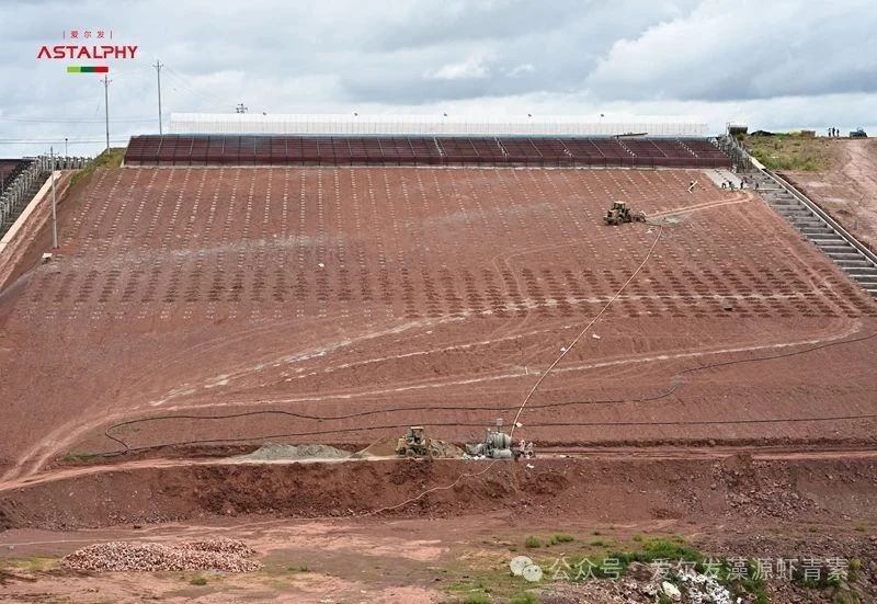 1754964036850824.jpg 8123.jpg