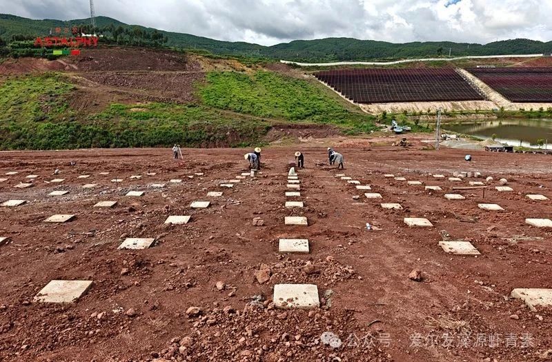 1754964047913091.jpg 81214.jpg