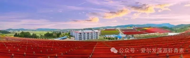 1756172919129340.jpg 微信图片_2025-08-26_094808_422.jpg