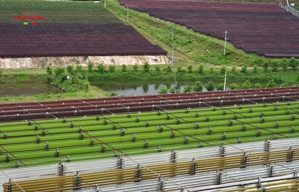 1757037244134612.jpg 微信图片_2025-09-05_093819_907.jpg