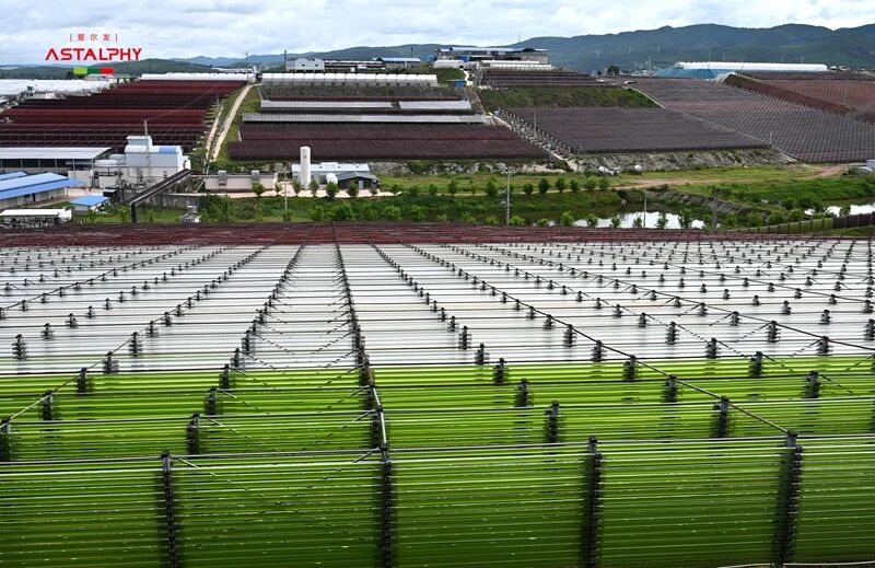 1758248158637429.jpg 04.jpg