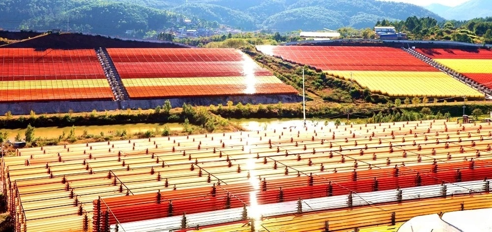 1762135295140593.jpg 微信图片_2025-11-03_095632_713.jpg