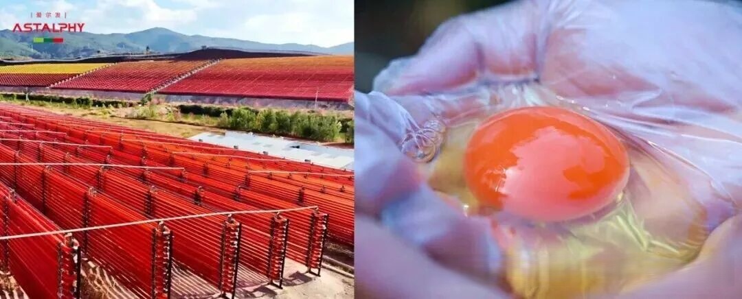 1762738897128867.jpg 微信图片_2025-11-10_092523_406.jpg