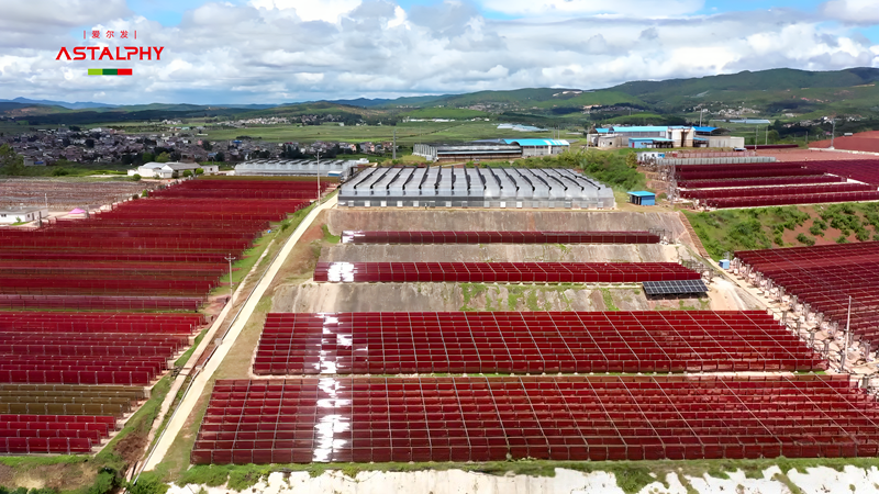 1762738958854998.png 微信图片_2025-11-10_092553_381.png