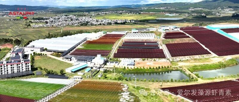 1762829064343823.jpg 微信图片_2025-11-11_103511_528.jpg