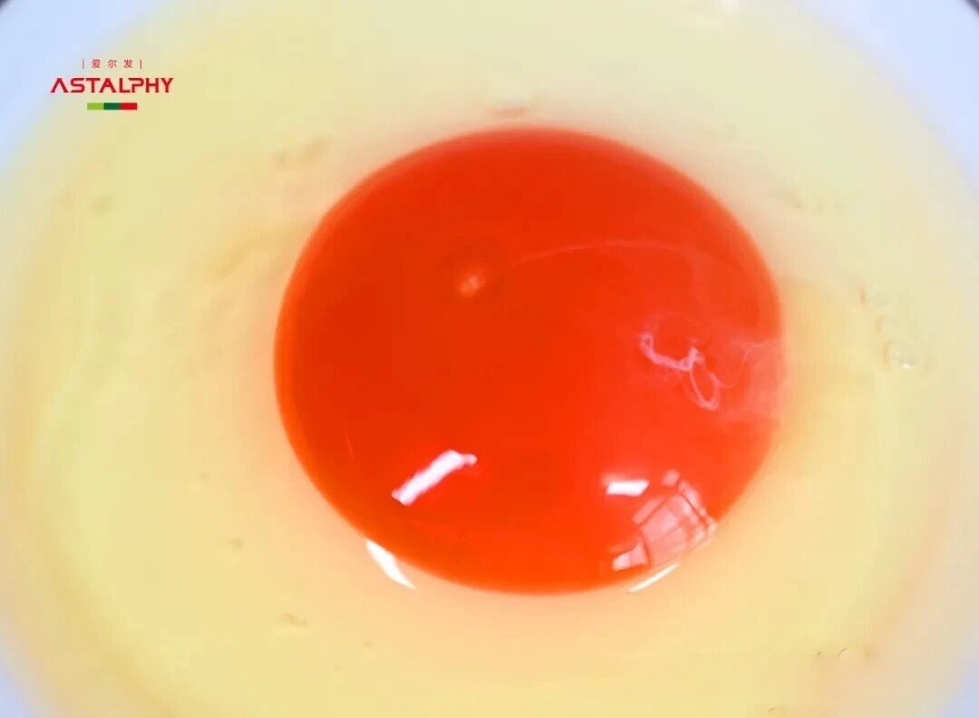 1764559507444346.jpg 微信图片_2025-12-01_102119_355.jpg