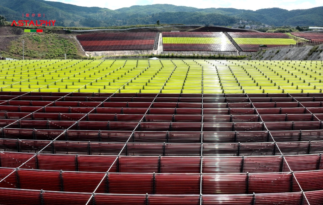 1764559585594441.jpg 微信图片_2025-12-01_102130_702.jpg