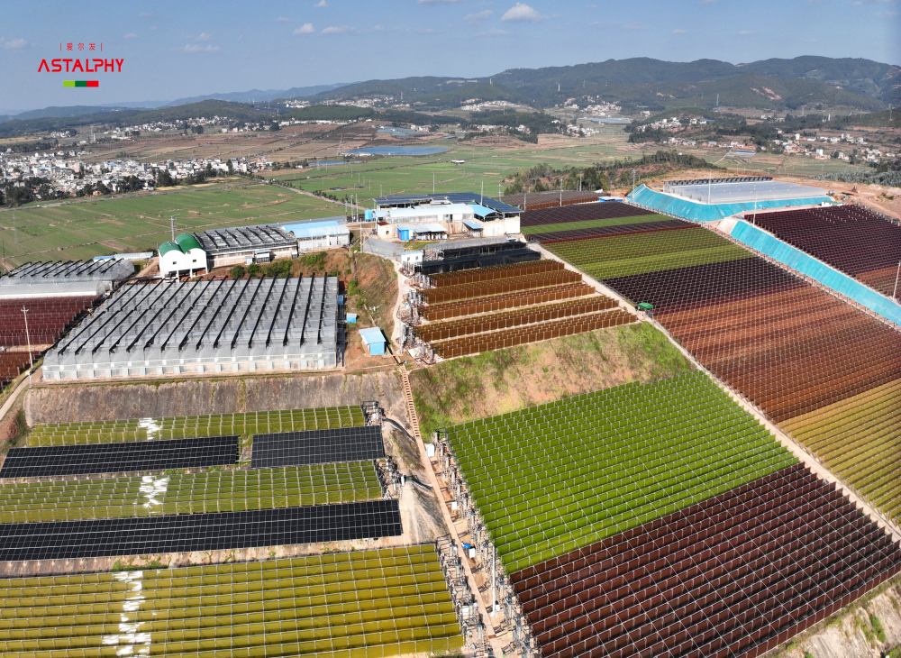 1764640889940029.jpg ed2fe3a677c1622b075404d2359c84a3_副本.jpg