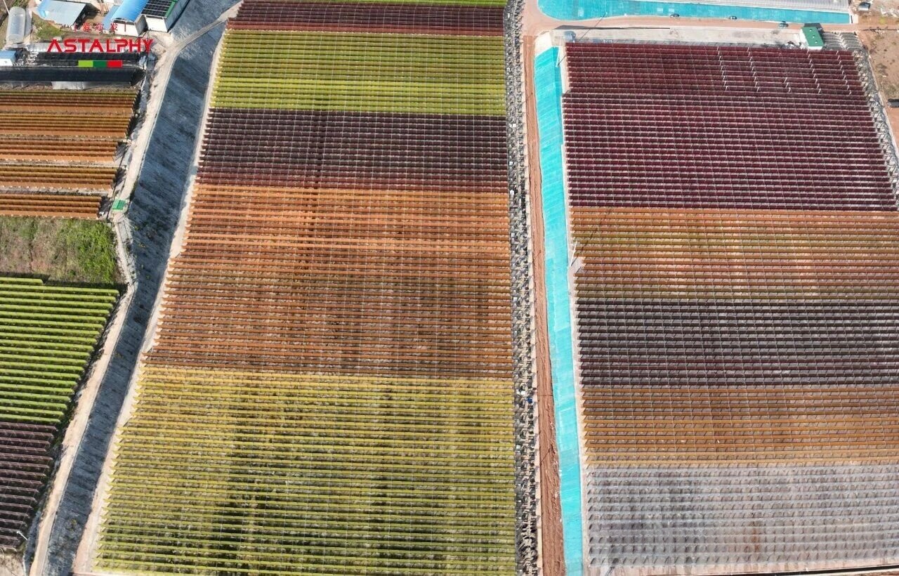 1764899784582650.jpg 微信图片_2025-12-03_092249_260.jpg